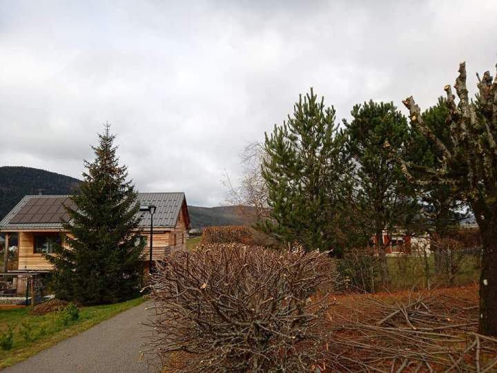Taille de haie Autrans-Méaudre en Vercors