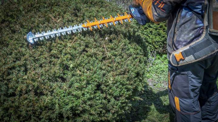 Taille de haie réussie Autrans-Méaudre en Vercors