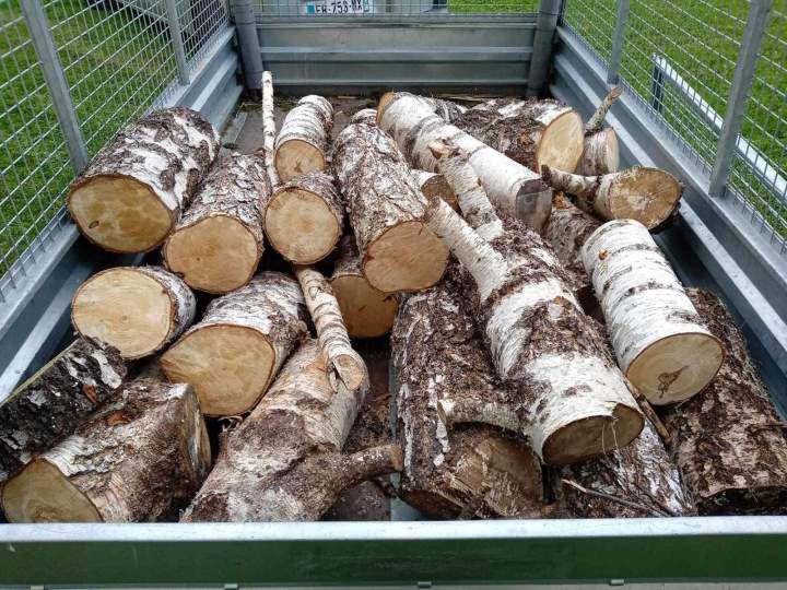 Abattage de tous types d'arbres Autrans-Méaudre en Vercors