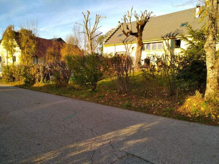 Taille raisonnée d'arbres Autrans-Méaudre en Vercors