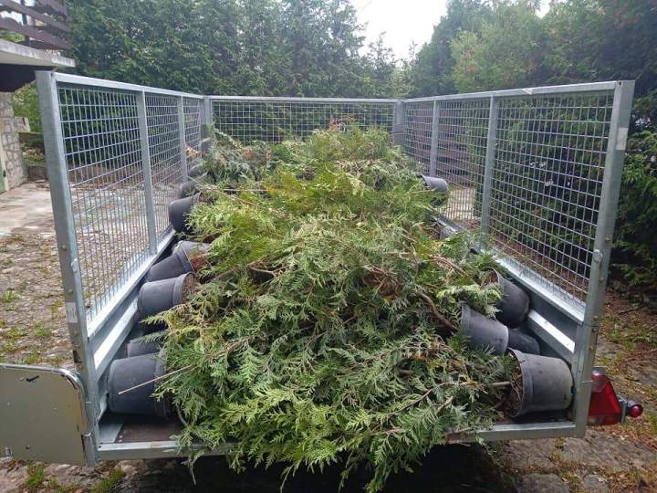 Arbustes à planter Autrans-Méaudre en Vercors