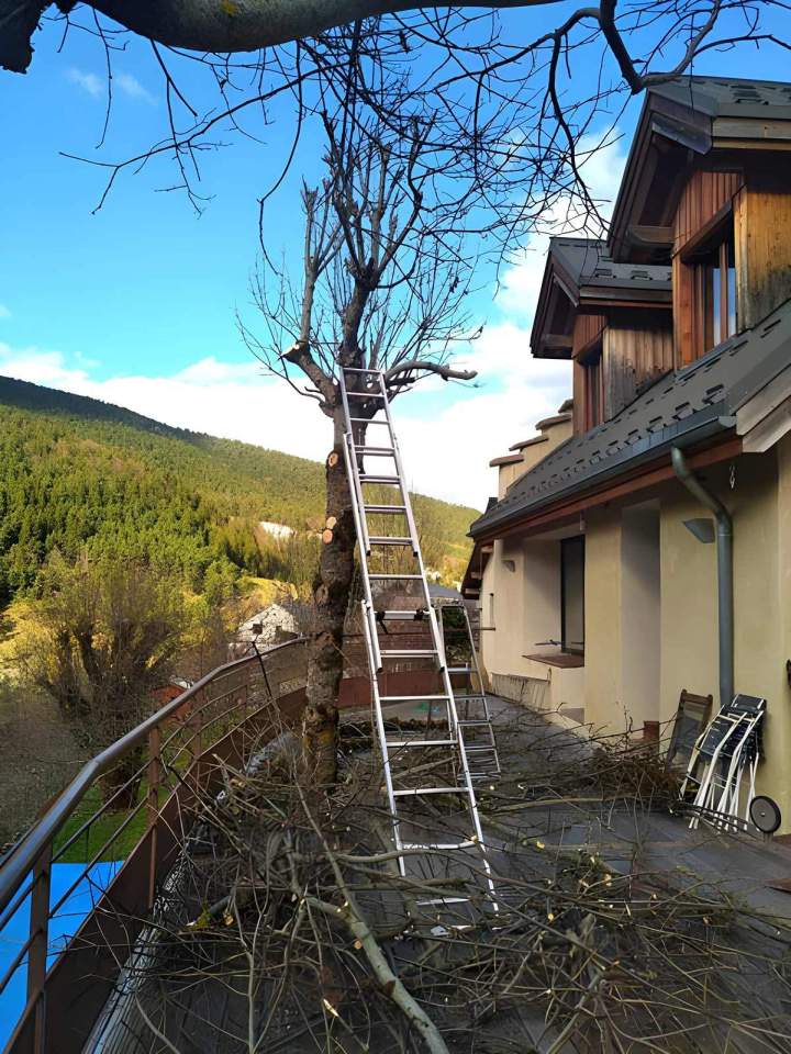 Travaux d'élagage soigné Autrans-Méaudre en Vercors