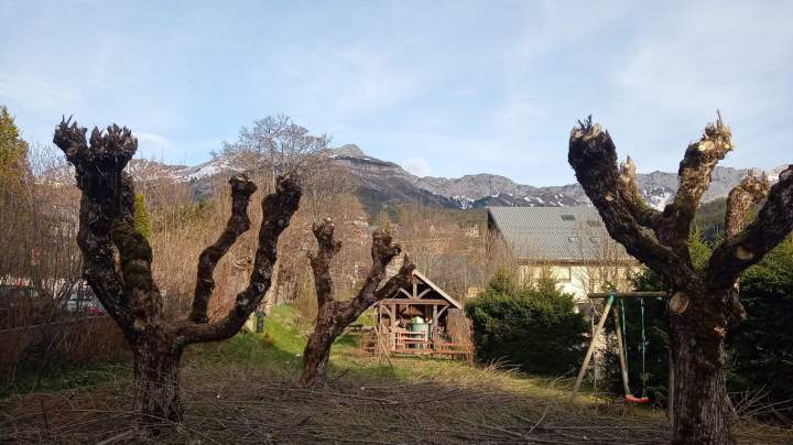 Élagage d'arbres Autrans-Méaudre en Vercors 