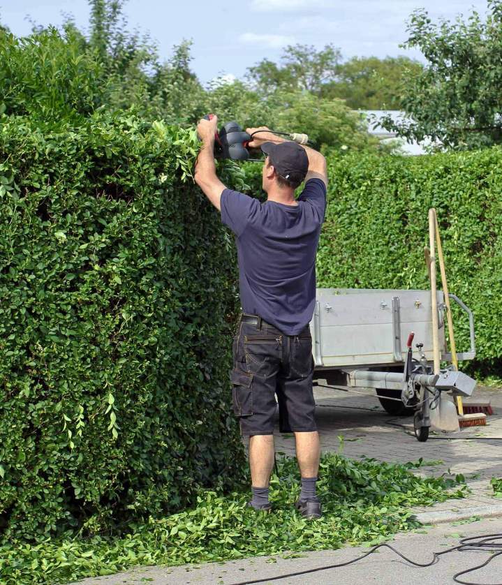 Paysagiste polyvalent Autrans-Méaudre en Vercors